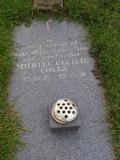 image of grave number 541584